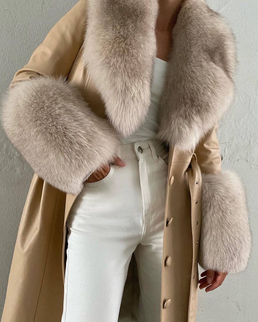 Fox Fur Genuine Leather Coat in beige